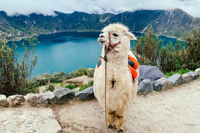 Full day tour to Quilotoa Lagoon - Imagen 1