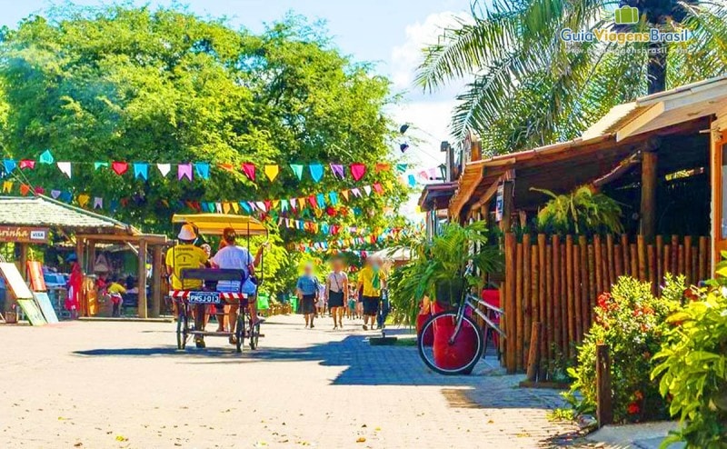 Tour a Praia do Forte y Guarajuba - Imagen 1