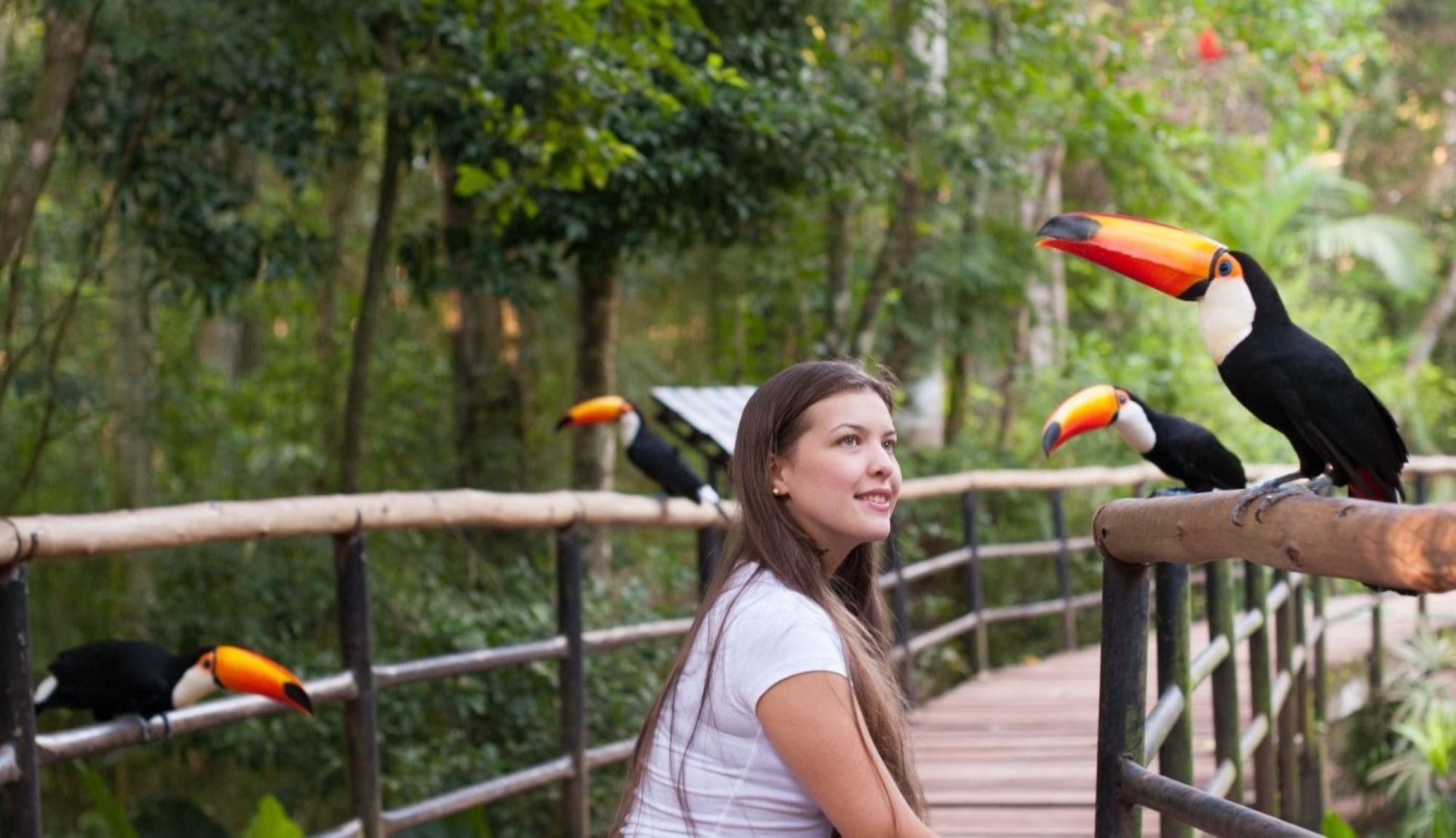 Foz de Iguaçu: Brazilian Falls and Bird Park - Imagen 1