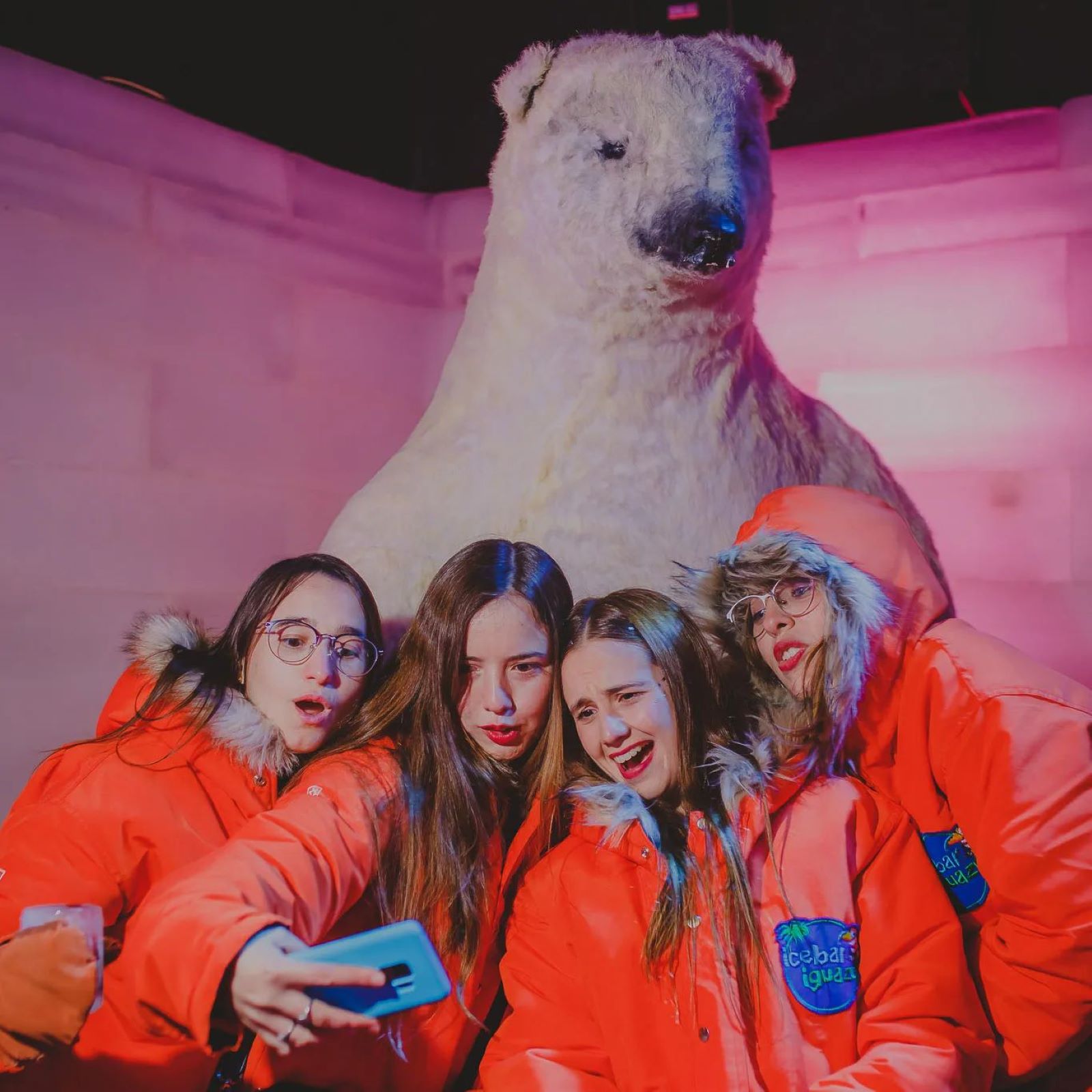 IceBar Iguazú: Frozen Adventure - Imagen 1