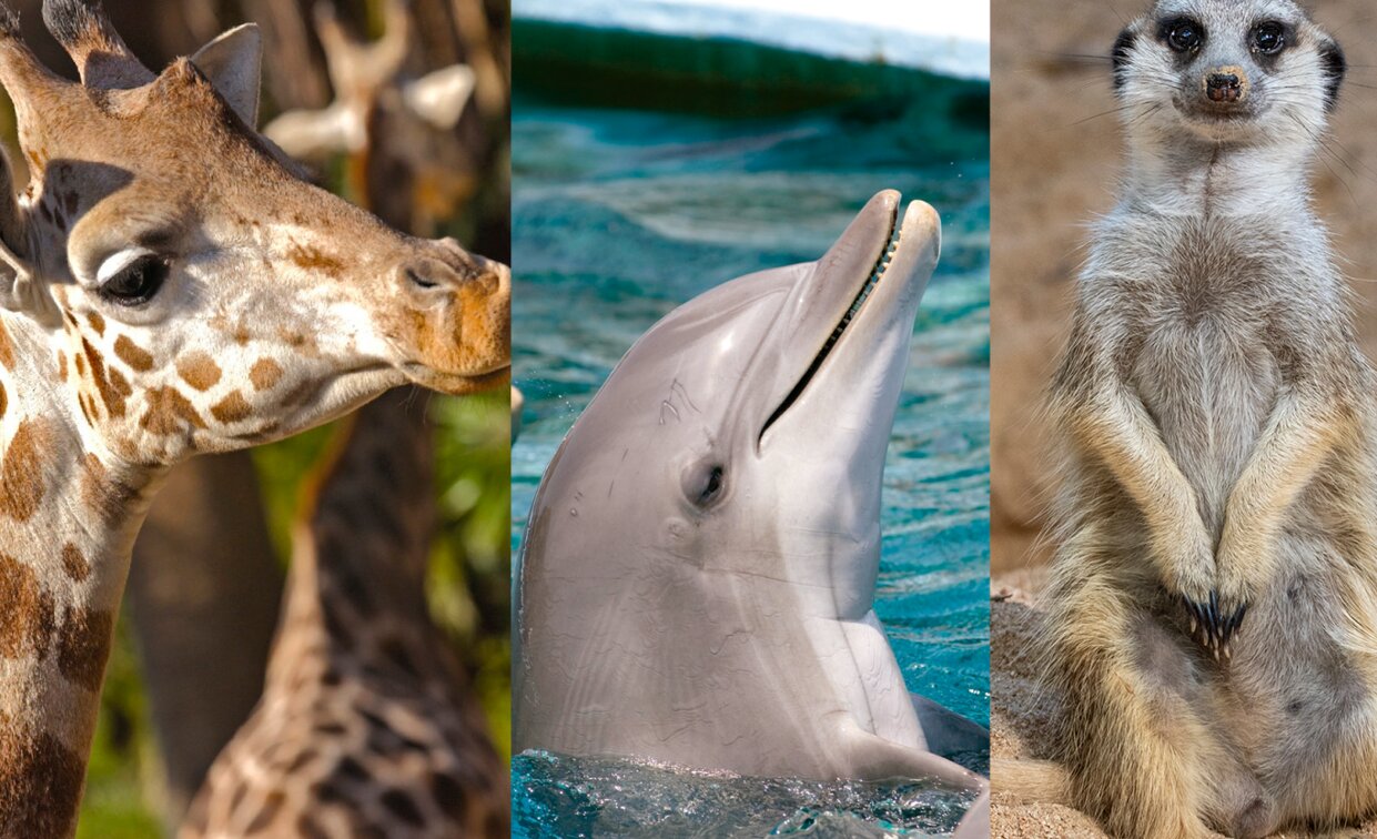 Zoo de Barcelona - Imagen 1