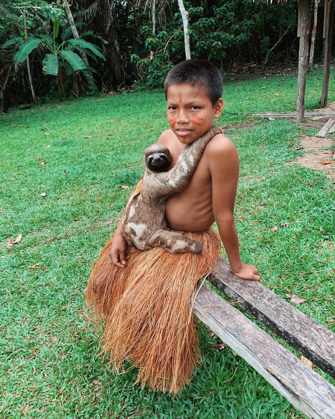 Safari en el Amazonas: día completo - Imagen 1