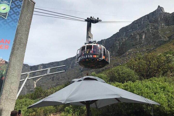 Table Mountain, pingüinos y Cape Point - Imagen 1