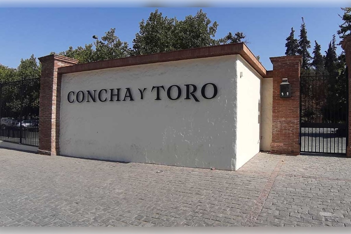 Visita à Viña Concha y Toro Standard - Imagen 1