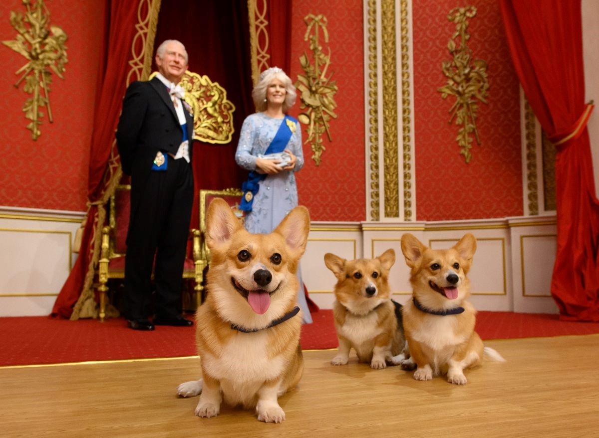 Bus 24, 48 o 72 h con Madame Tussauds - Imagen 1