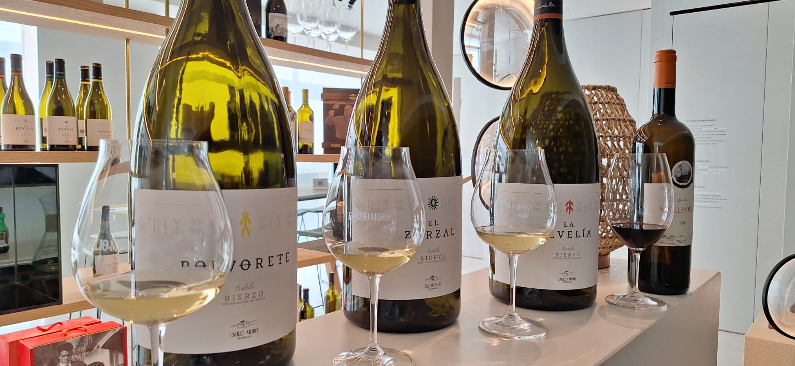 Esencia del Bierzo: Bodega y Cata - Imagen 1