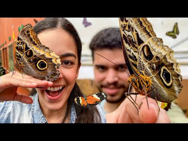 Mindo Cloud Forest Full Day Tour - Imagen 1