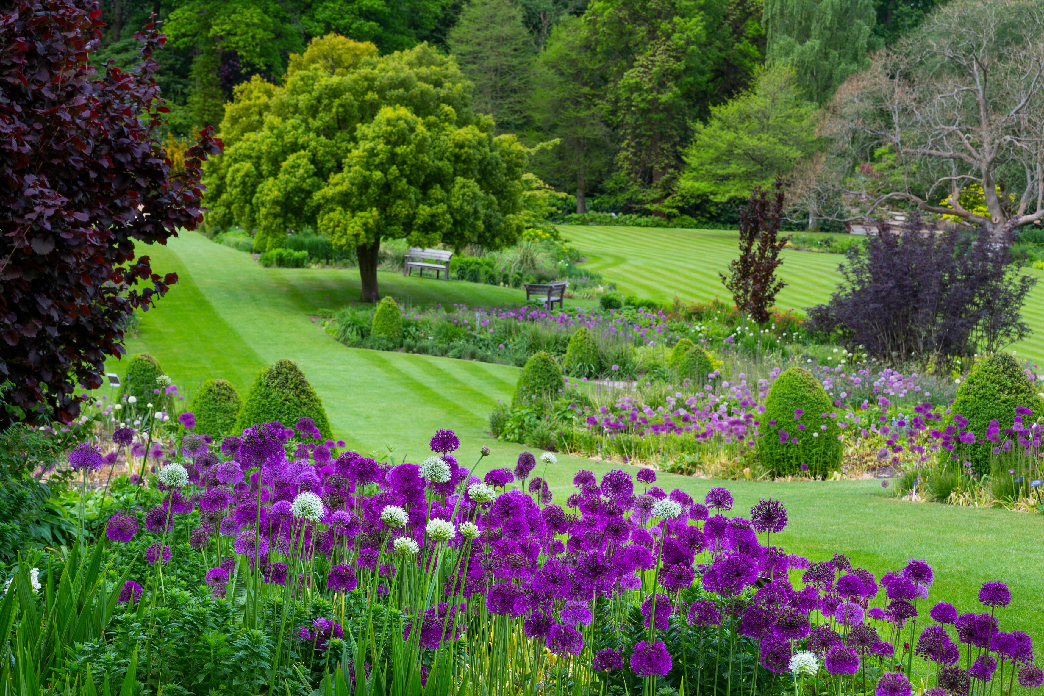 Jardín RHS Harlow Carr - Imagen 1