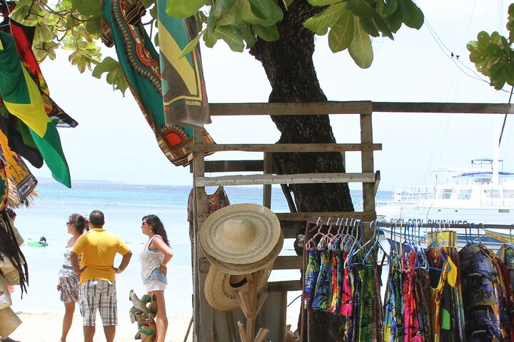 Catamarán: cataratas Dunn y barra libre - Imagen 1