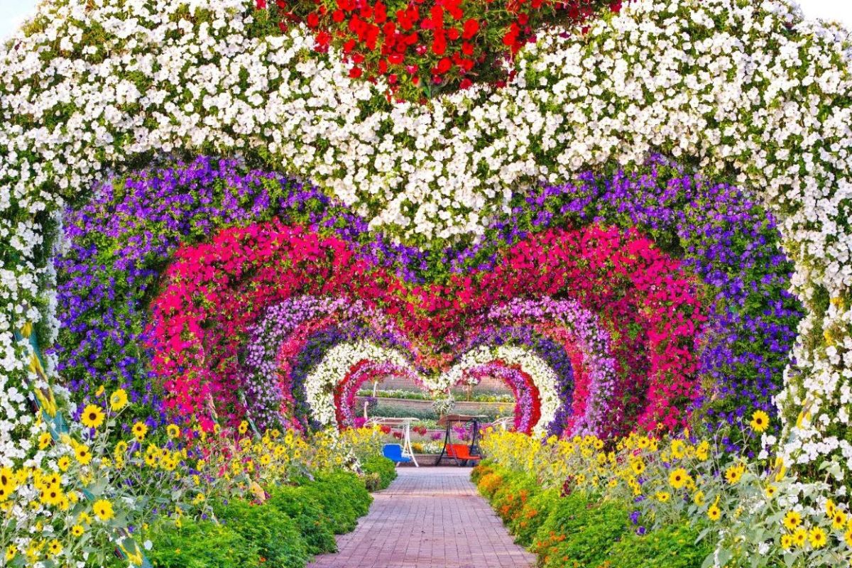 Ingressos para o Dubai Miracle Garden - Imagen 1