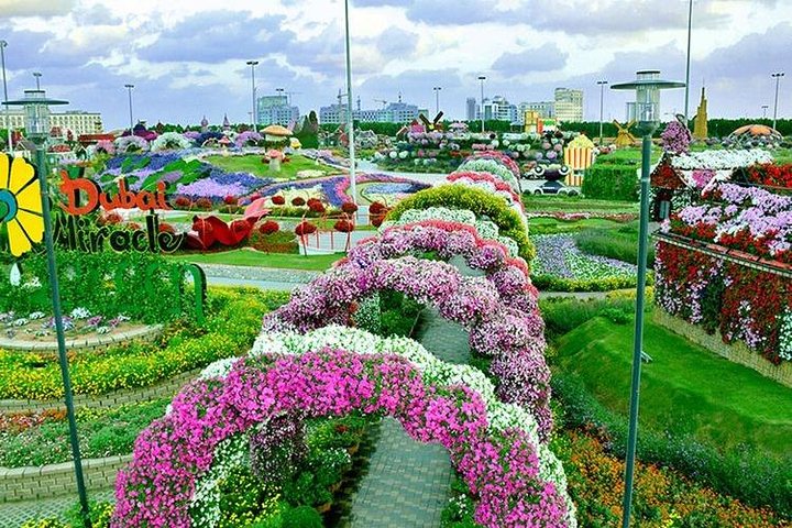 Dubai Miracle Garden com traslado privativo - Imagen 1