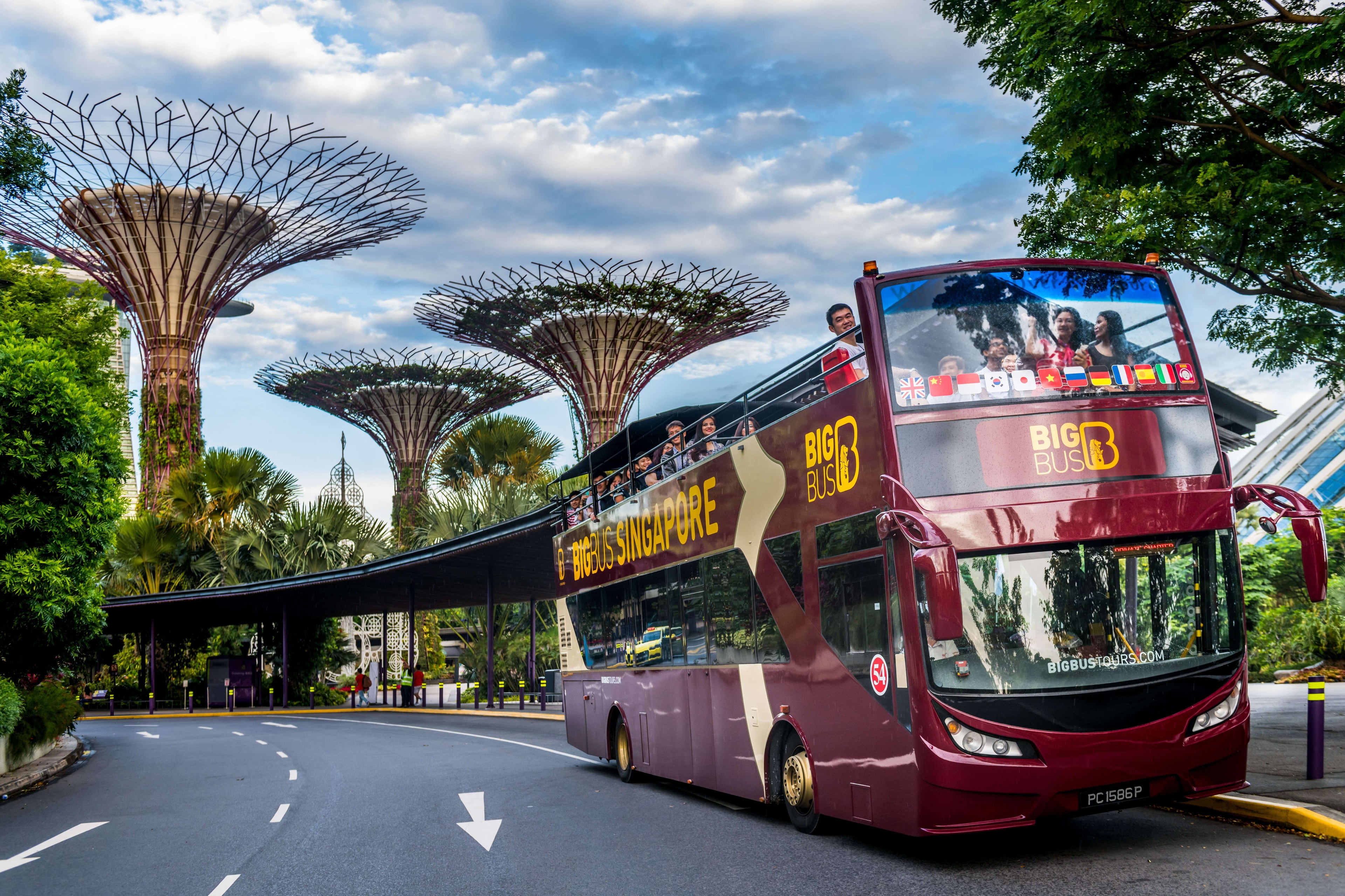 Bus Hop-On Hop-Off Singapur 2 días - Imagen 1
