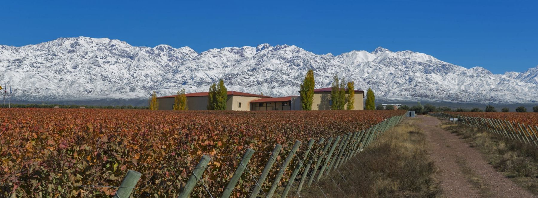 Bodegas Premium con almuerzo en Bousquet - Imagen 1