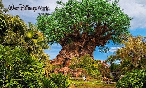 Disney Animal Kingdom: ticket de 1 día - Imagen 1