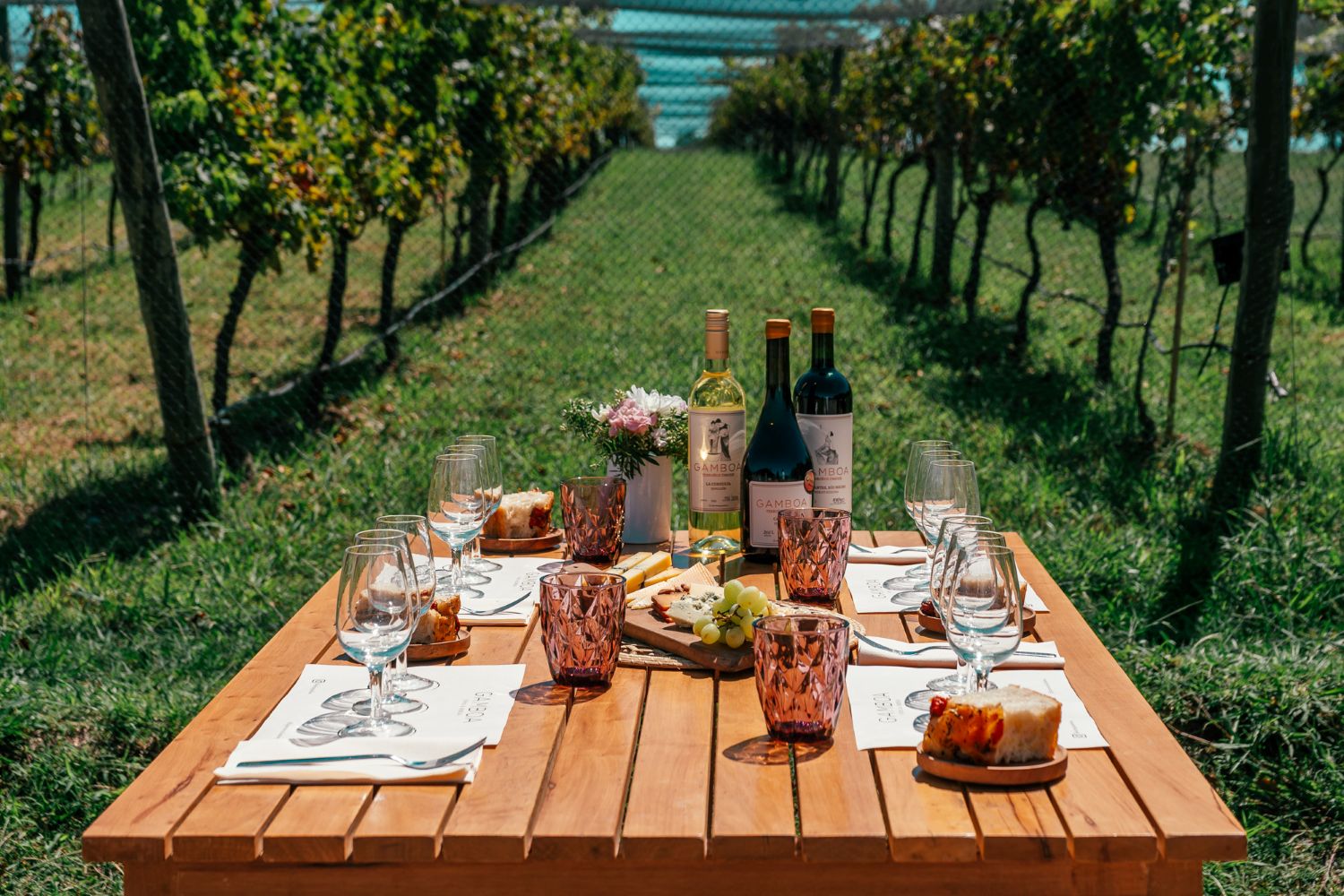 Viñedo Gamboa: vino y gastronomía - Imagen 1