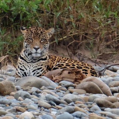 Tour por la selva del Madidi 3 días - Imagen 1