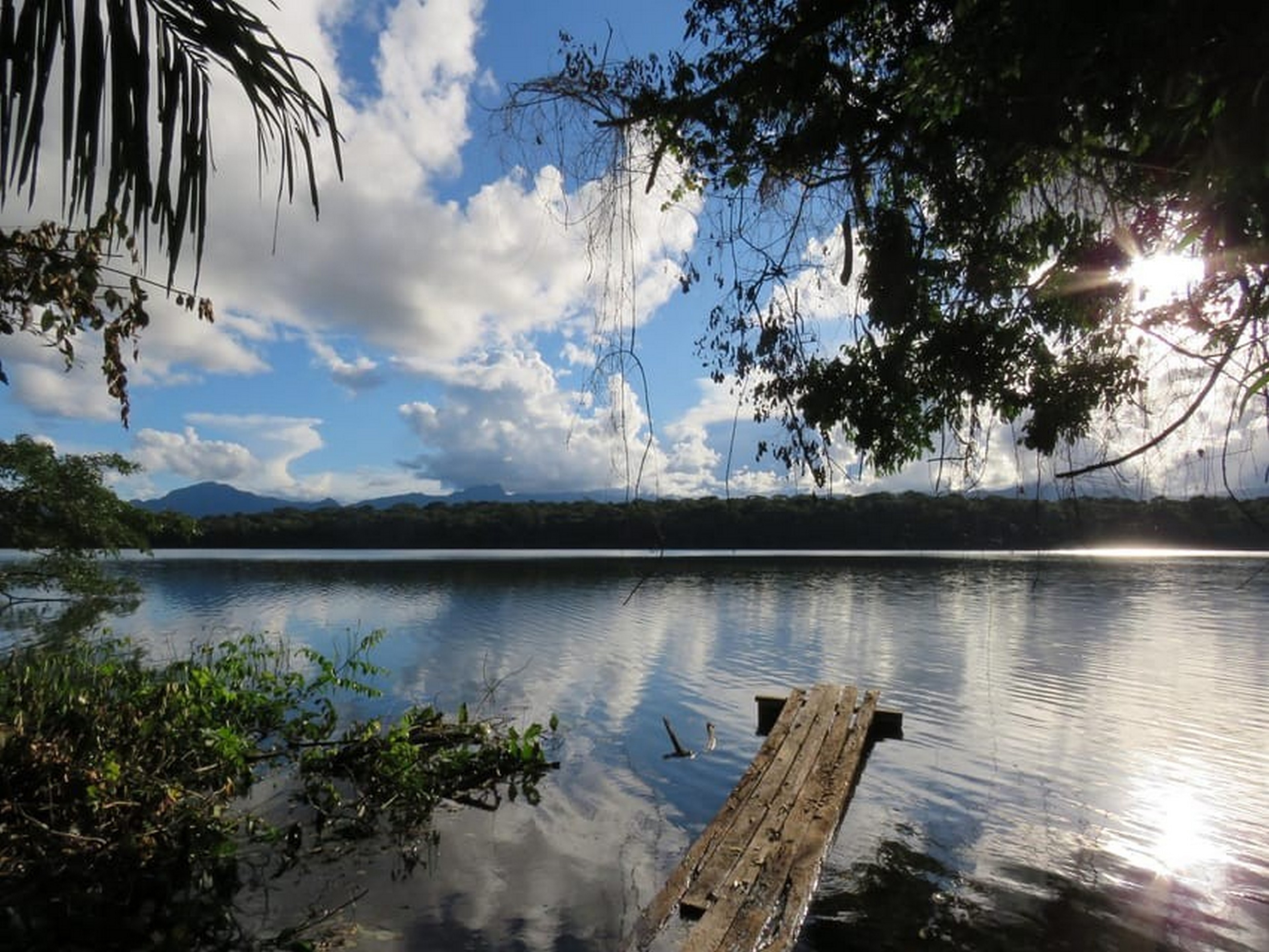 Selva amazónica y pampas en 5 días - Imagen 1