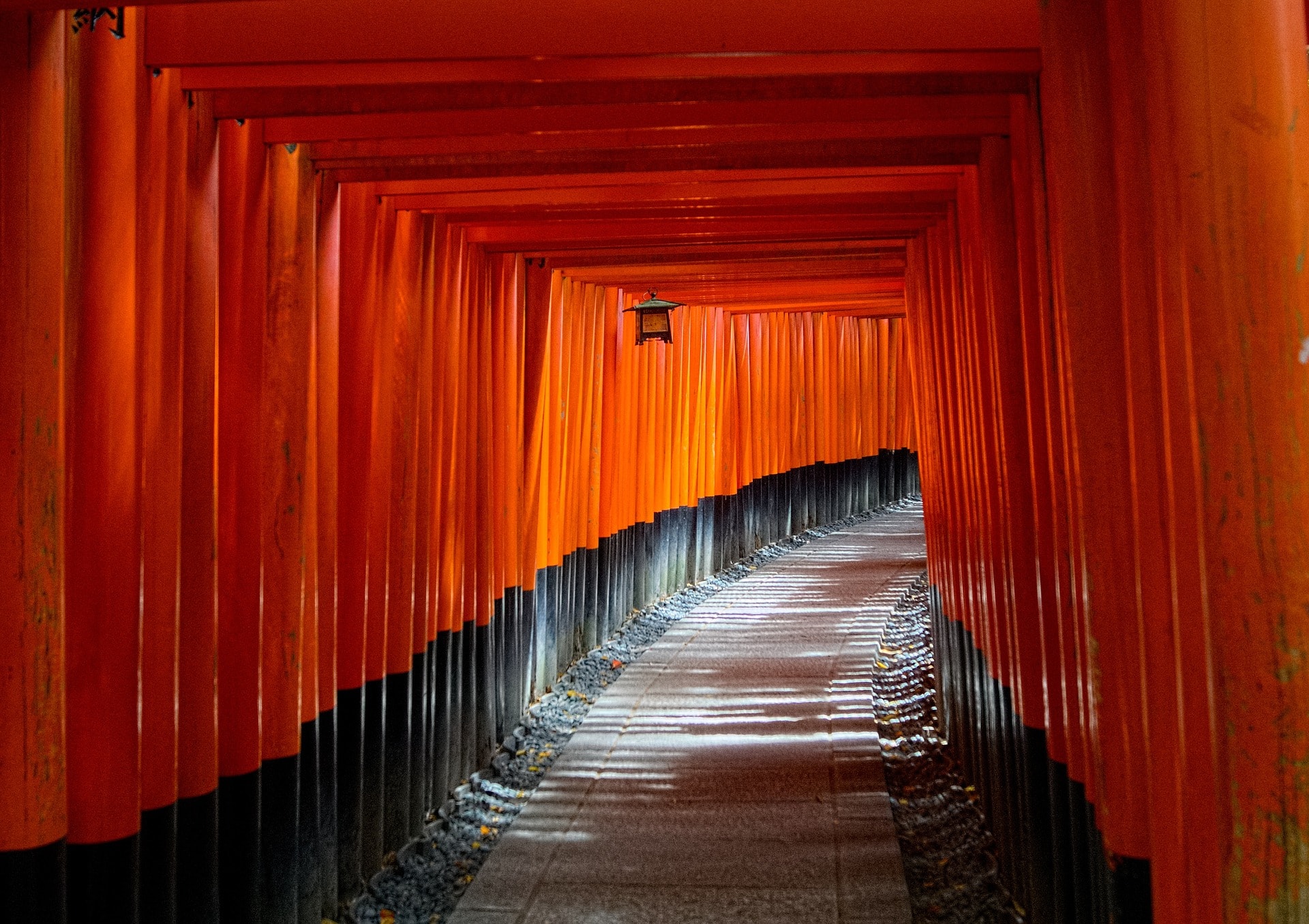 Lo mejor de Kioto: Nijo, Kinkaku-ji y más - Imagen 1