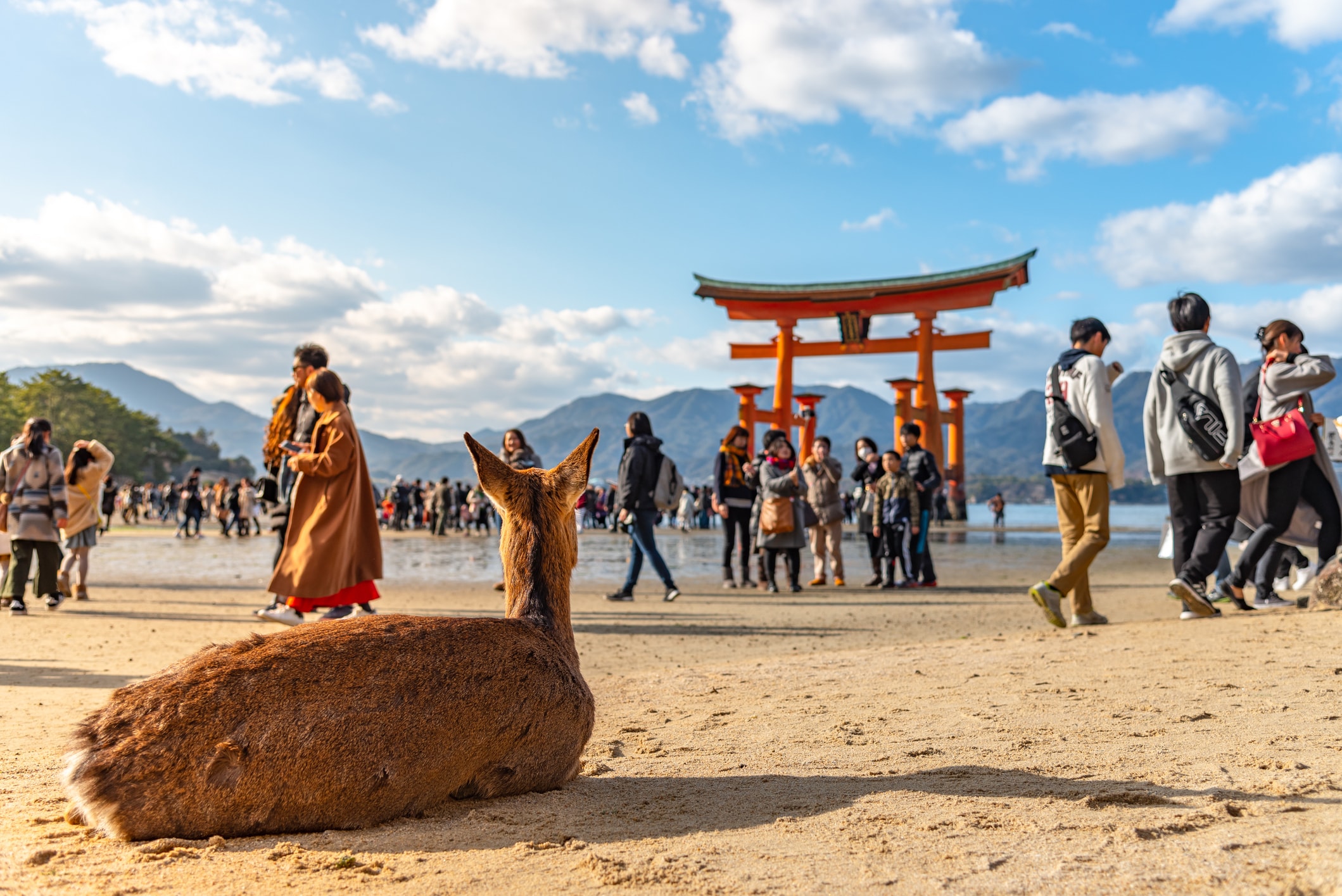Hiroshima e Miyajima saindo de Tóquio - Imagen 1