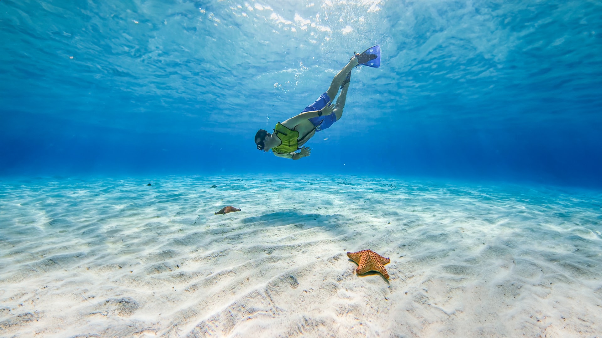 Barco transparente y snorkel en Cozumel - Imagen 1
