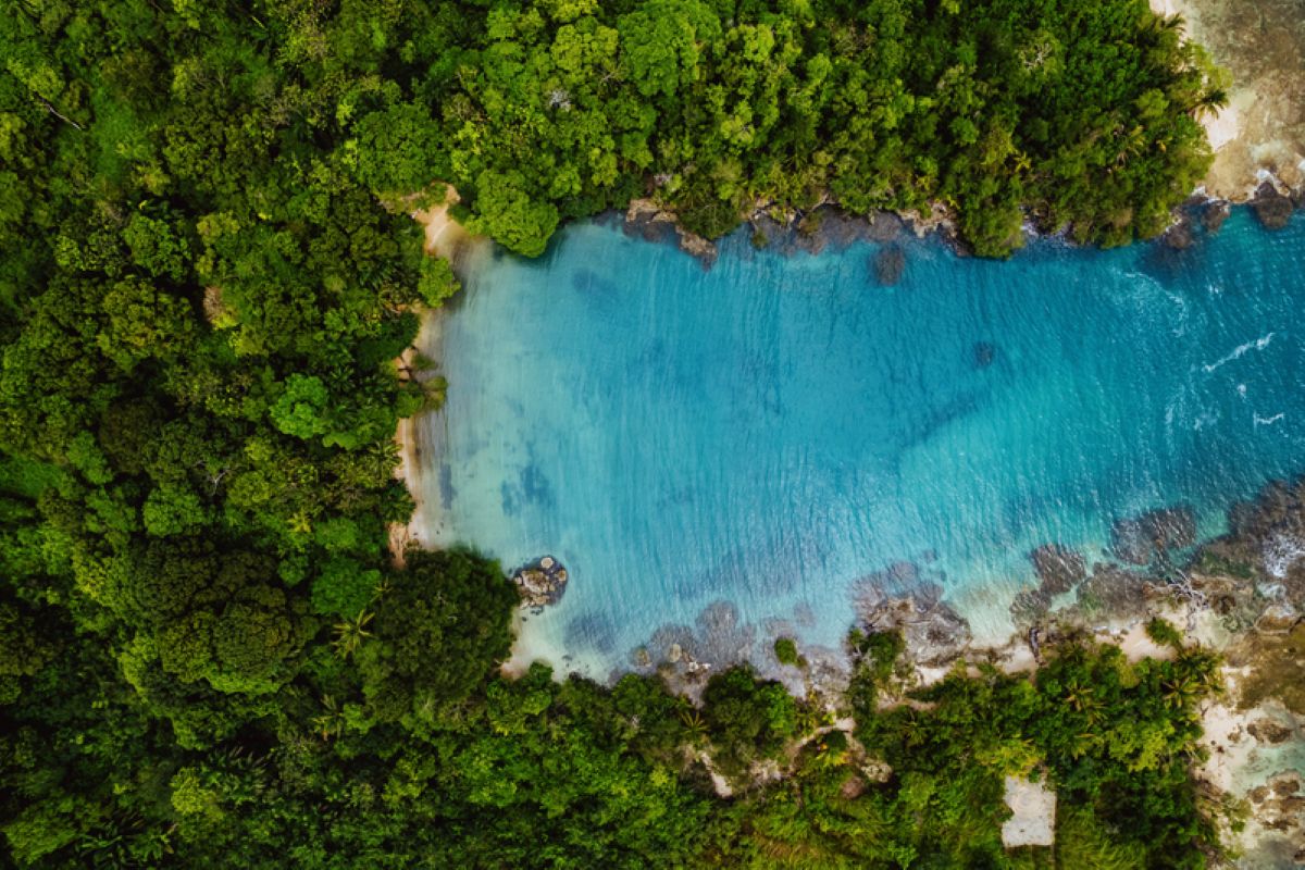 Excursión de un día a San Blas - Imagen 1