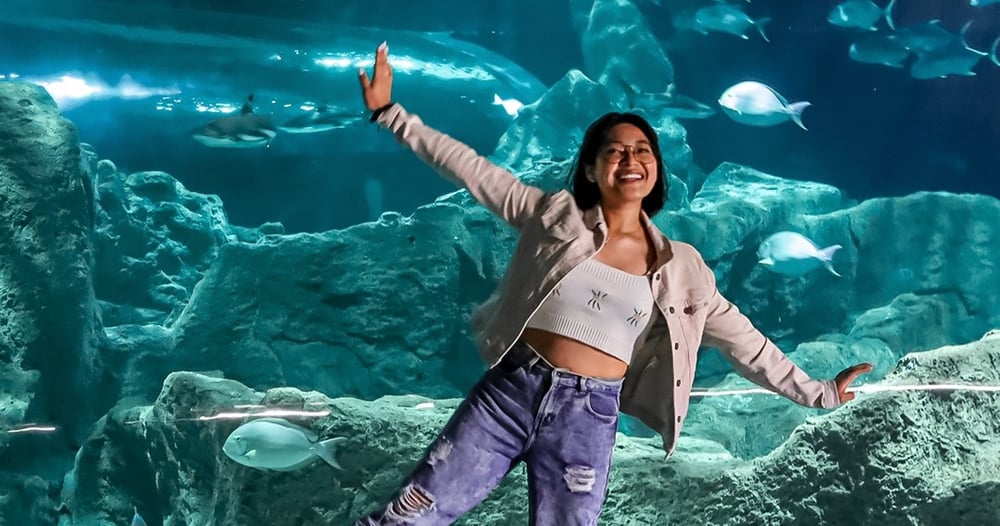 Ticket to Michin Aquarium Guadalajara - Imagen 1