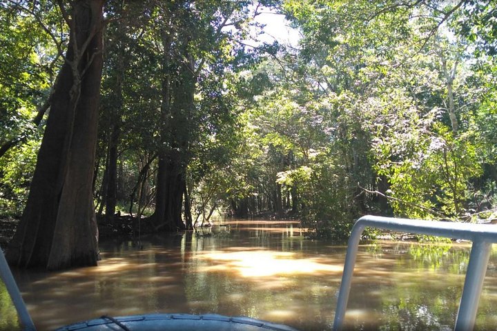 Selva amazónica: aventura de 4 días - Imagen 1