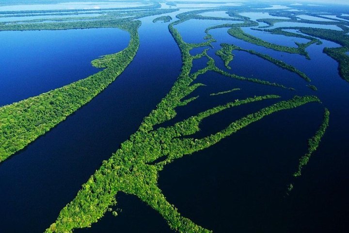 Selva amazónica y Anavilhanas en 8 horas - Imagen 1