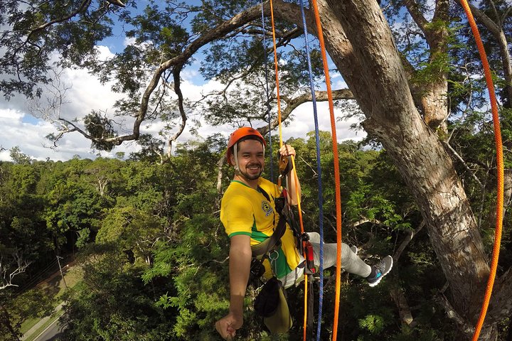 Escalada de árboles en el Amazonas - Imagen 1