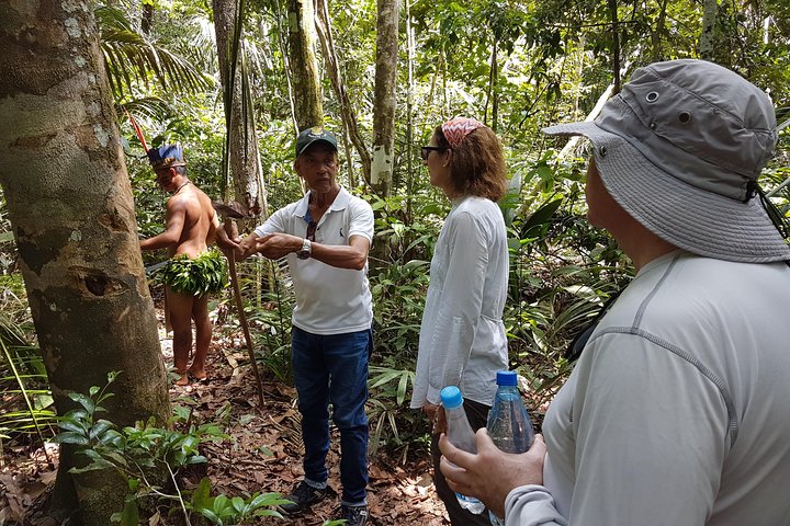 Selva amazónica: senderismo de 4 horas - Imagen 1