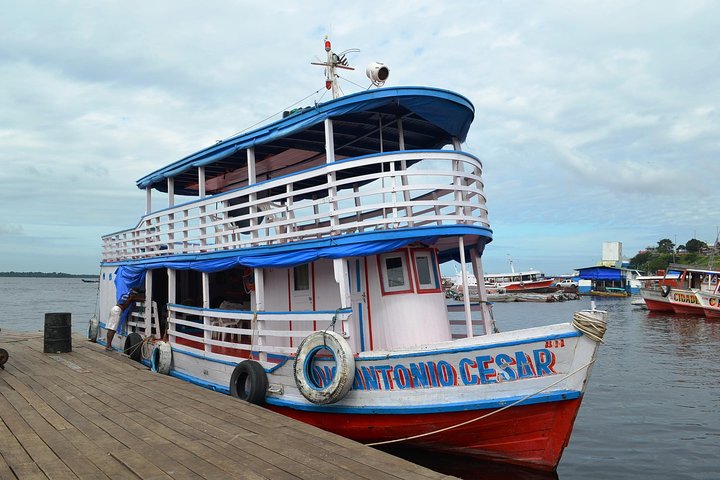 Excursión de 4 días en barco desde Manaos - Imagen 1