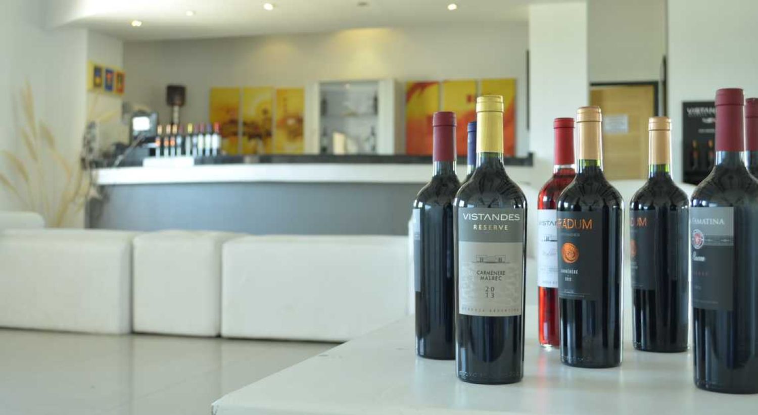 Mendoza Vineyards with Lunch - Imagen 1