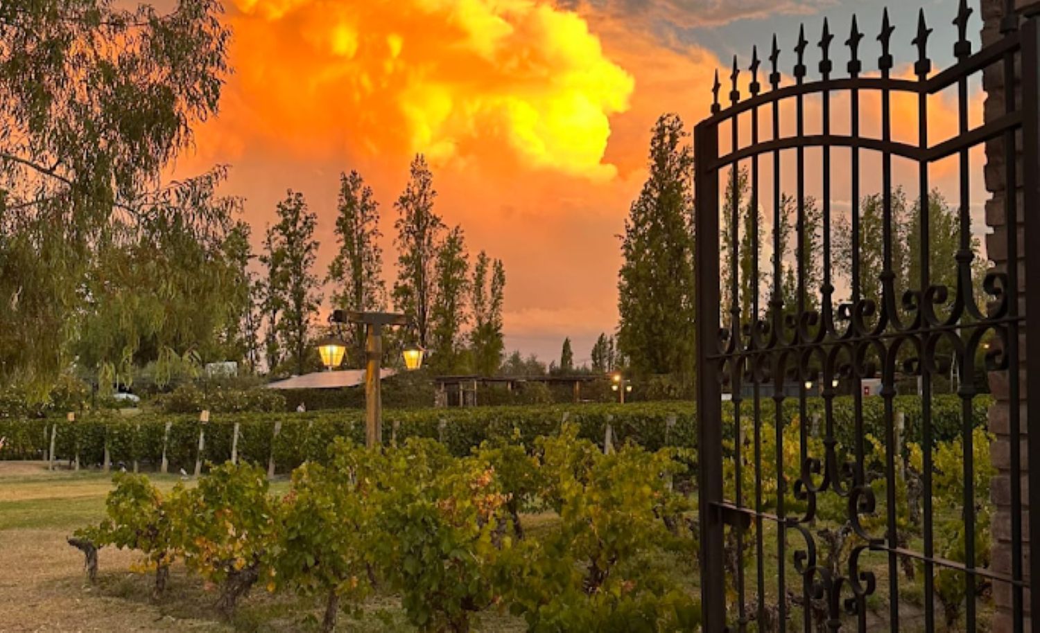 Casa Vigil: Gourmet Sunset Experience - Imagen 1
