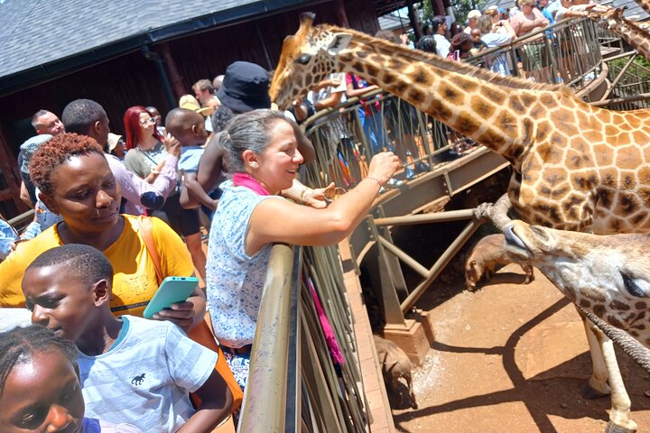 Safari en Nairobi con Wi-Fi gratuito - Imagen 1