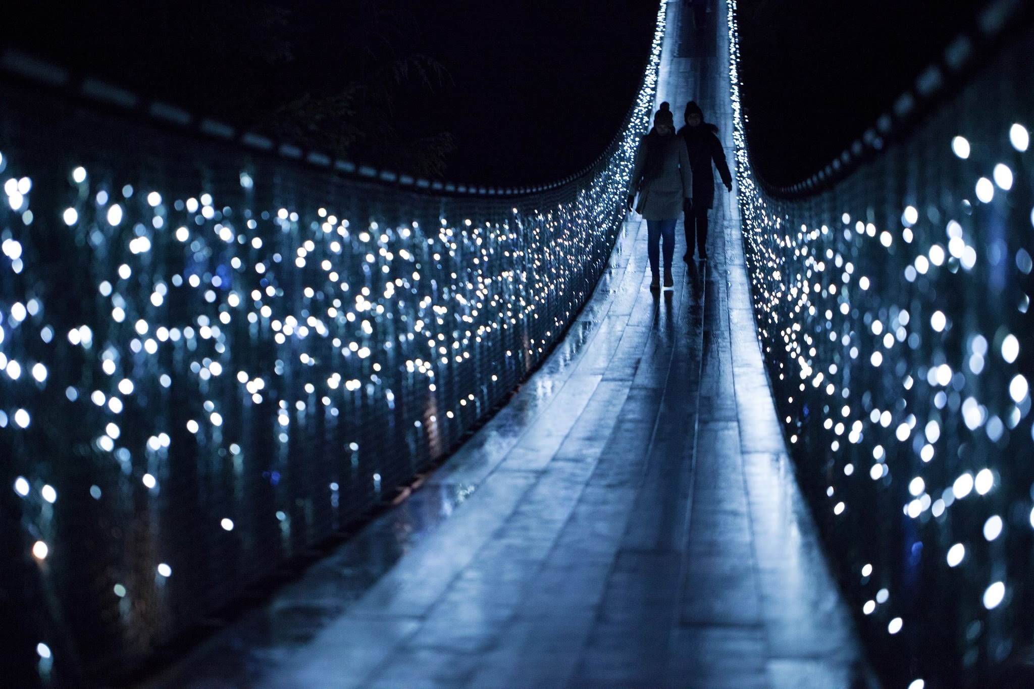 Luces festivas por Vancouver y Capilano - Imagen 1