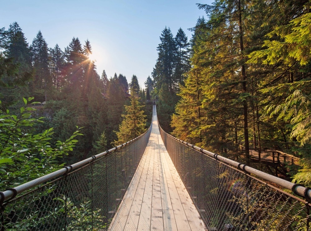 City tour y Puente Colgante de Capilano - Imagen 1