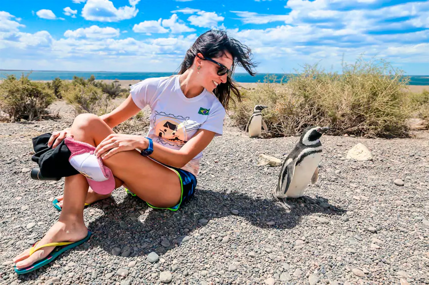 Punta Tombo: excursión de día completo - Imagen 1