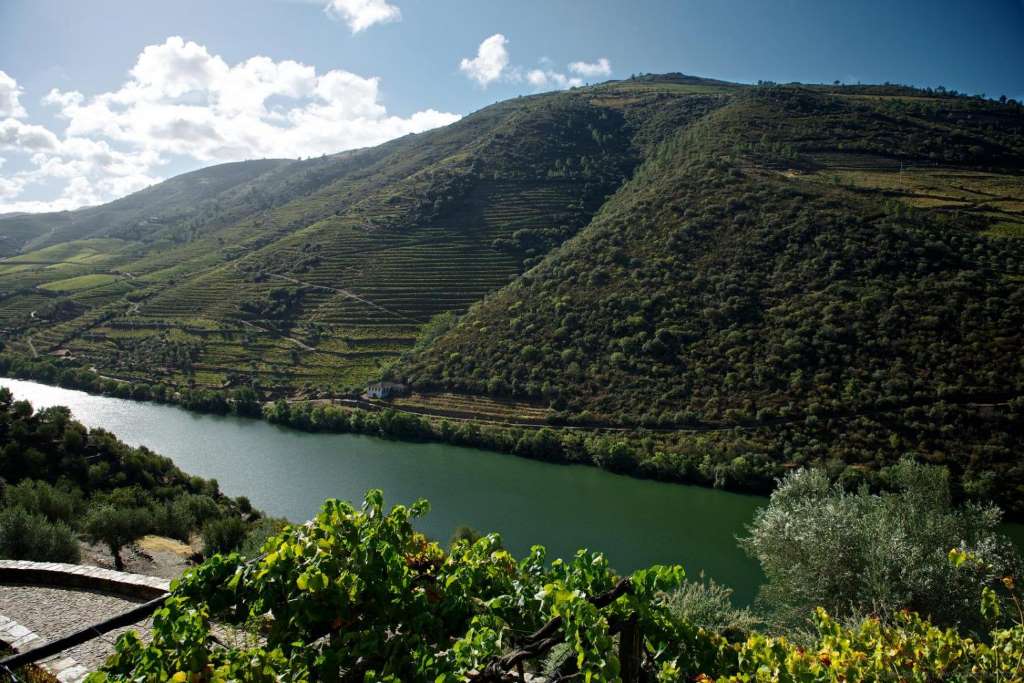 Tour del Vino en el Valle del Douro - Imagen 1