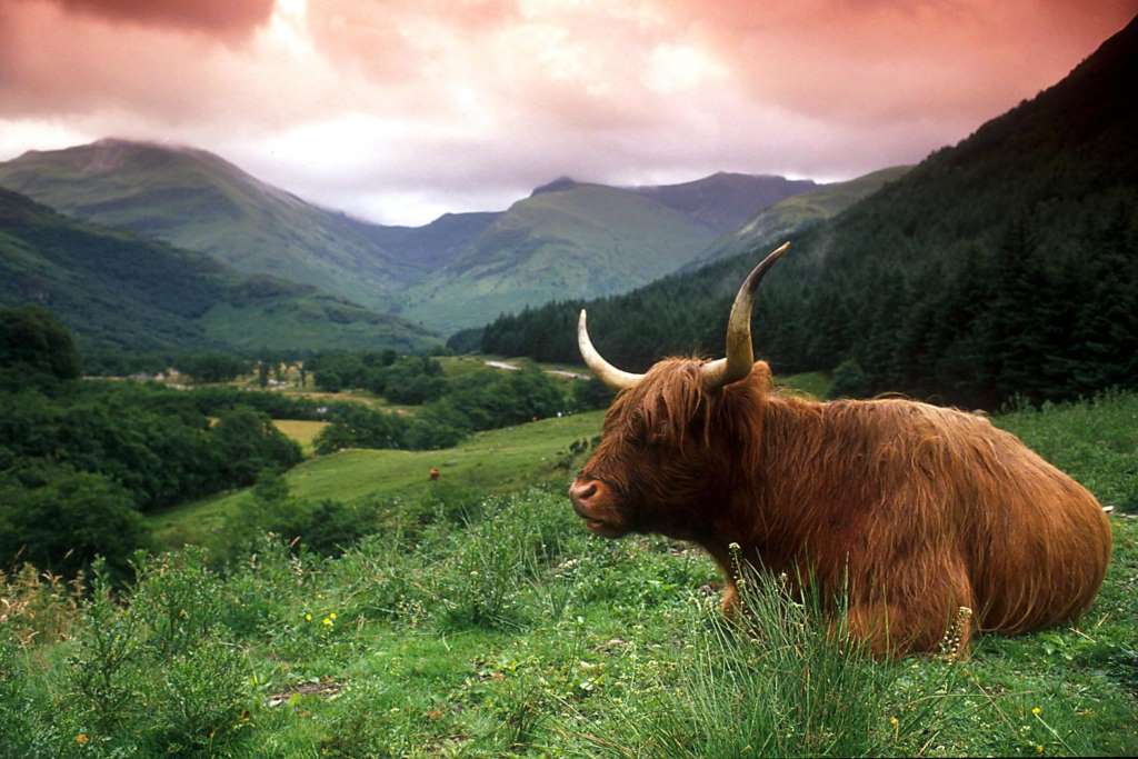 Lago Ness e Montanhas da Escócia - Imagen 1