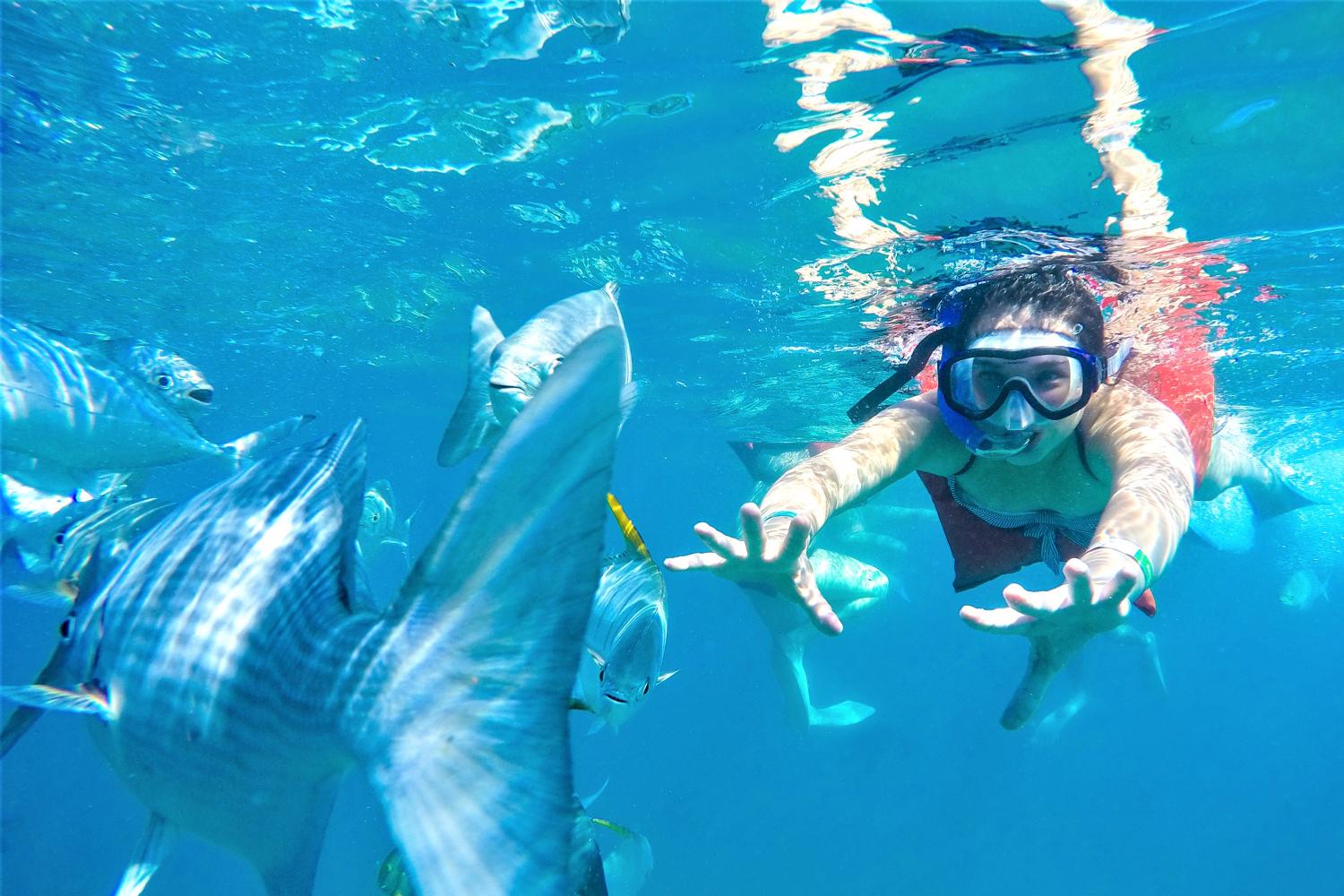Buceo de lujo en la Bahía de Banderas - Imagen 1