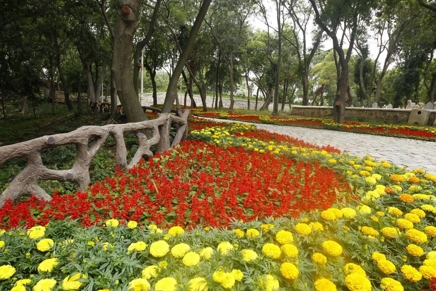City tour Tesoros de Estambul - Full day - Imagen 1
