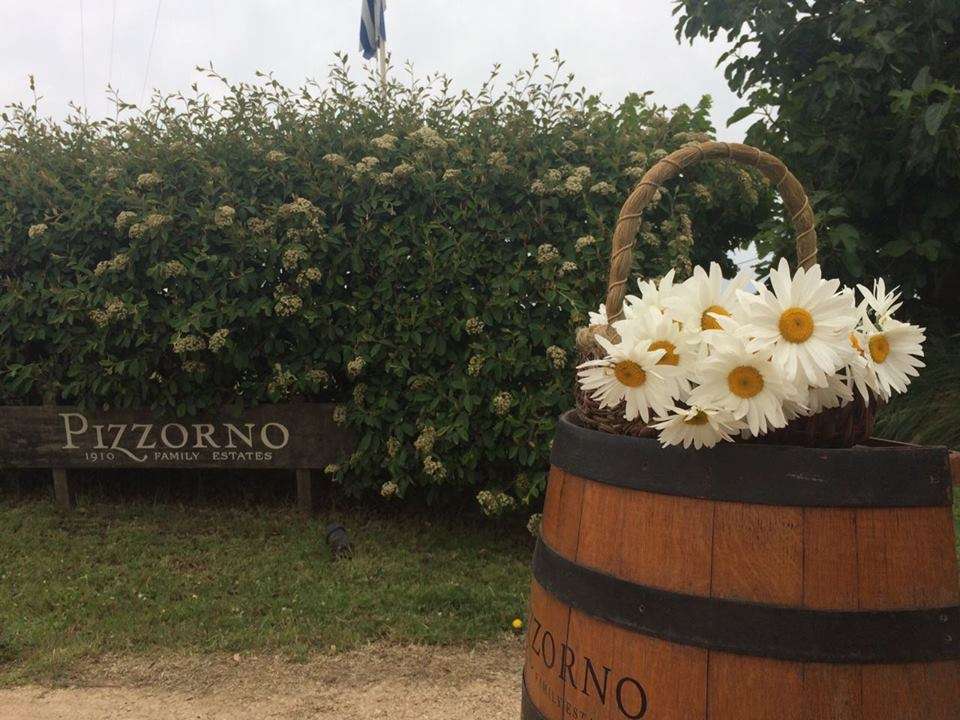 Tour a Bodega Pizzorno - Imagen 1