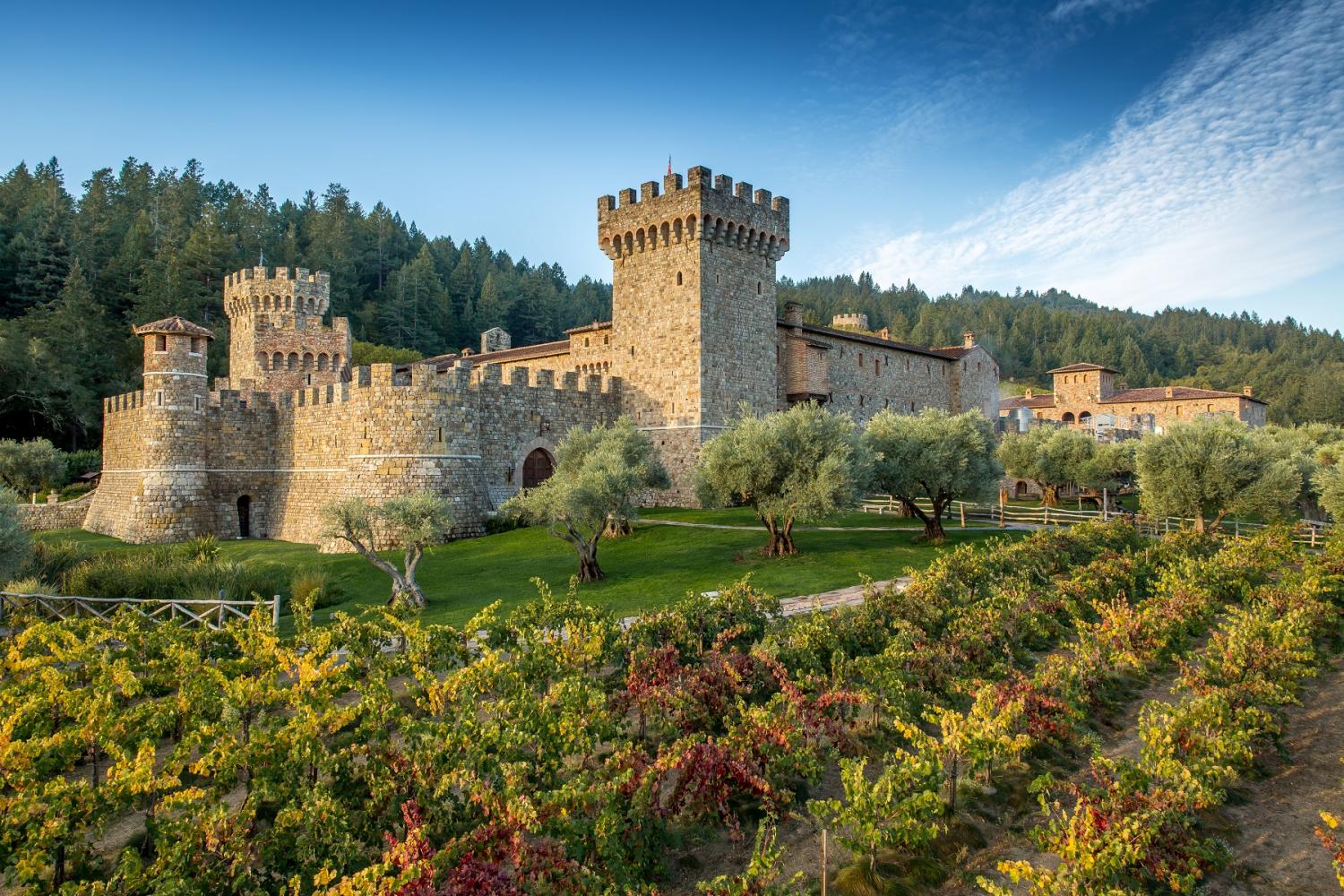 Valle de Napa: vinos y gastronomía - Imagen 1