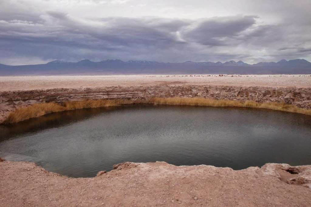 Lagunas Cejar, Tebinquiche y Ojos del Salar - Imagen 1