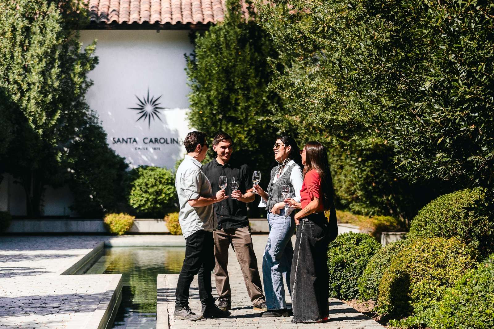 Santa Carolina Vineyard - Imagen 1